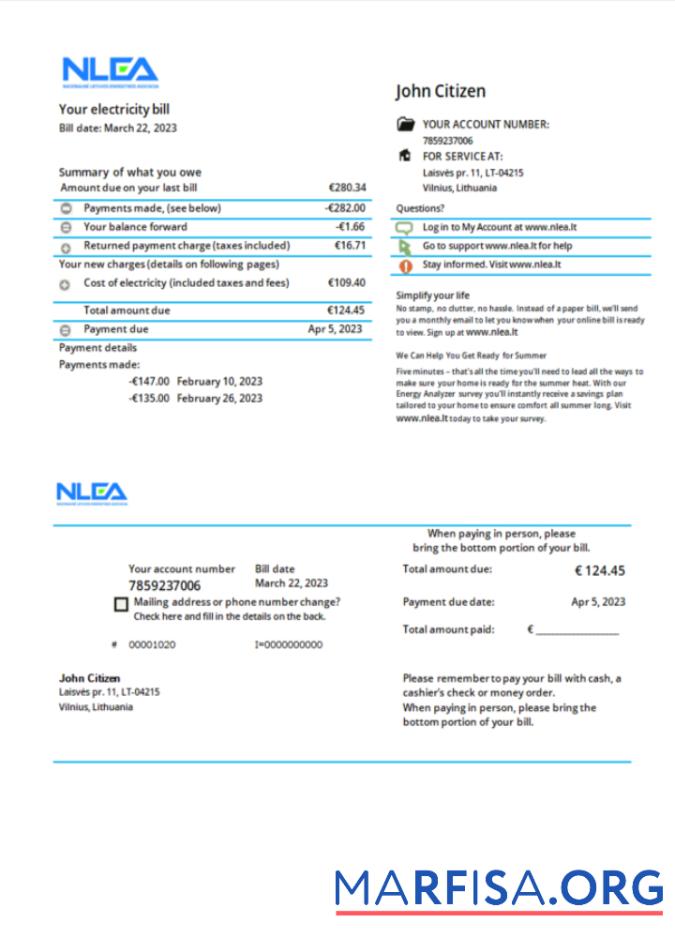 Realistic Lithuania National Lithuanian Energy Association utility bill Word and PDF template